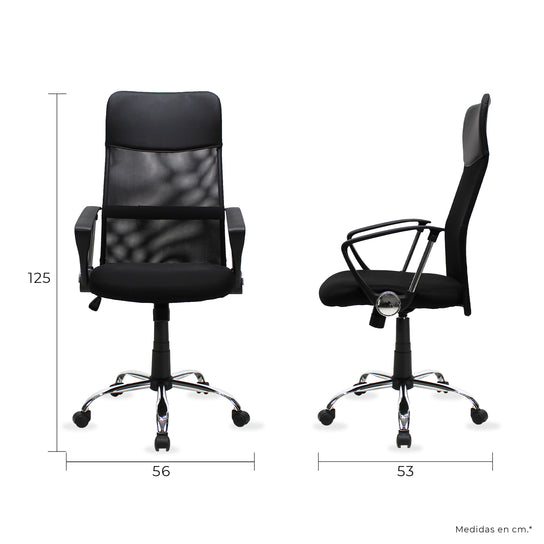 Silla Ejecutiva 2006