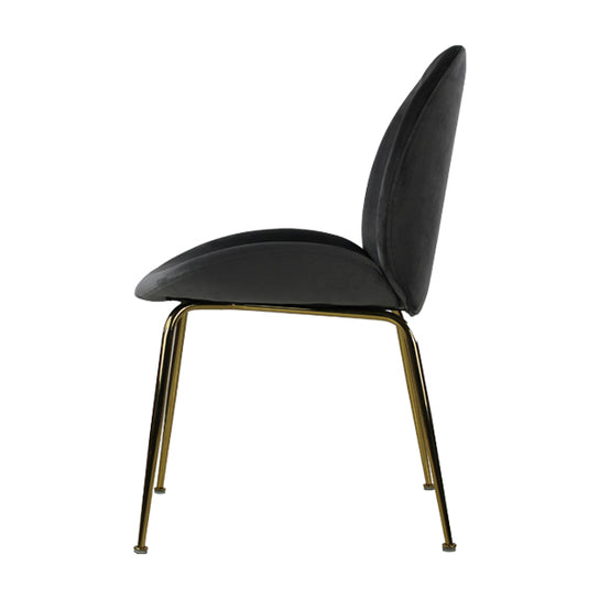 Silla Treviso