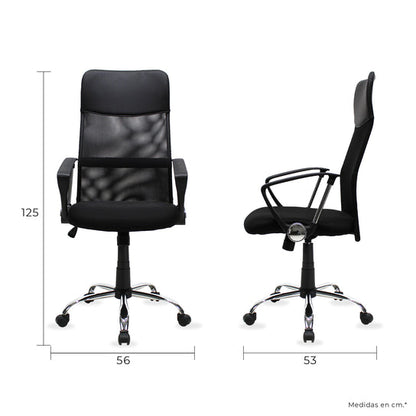 Silla Ejecutiva 2006