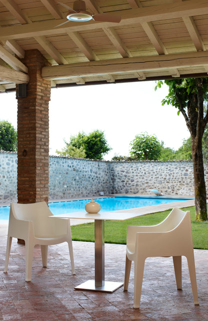 Silla Coccolona 1 plaza