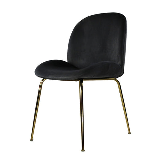 Silla Treviso