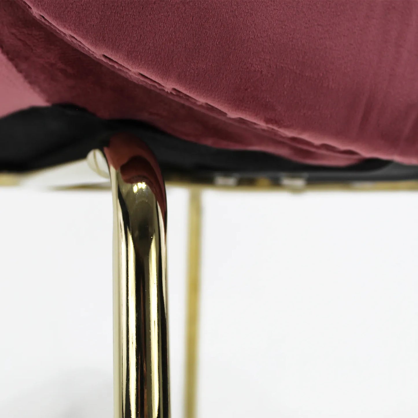 Silla Treviso