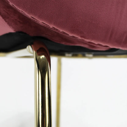 Silla Treviso