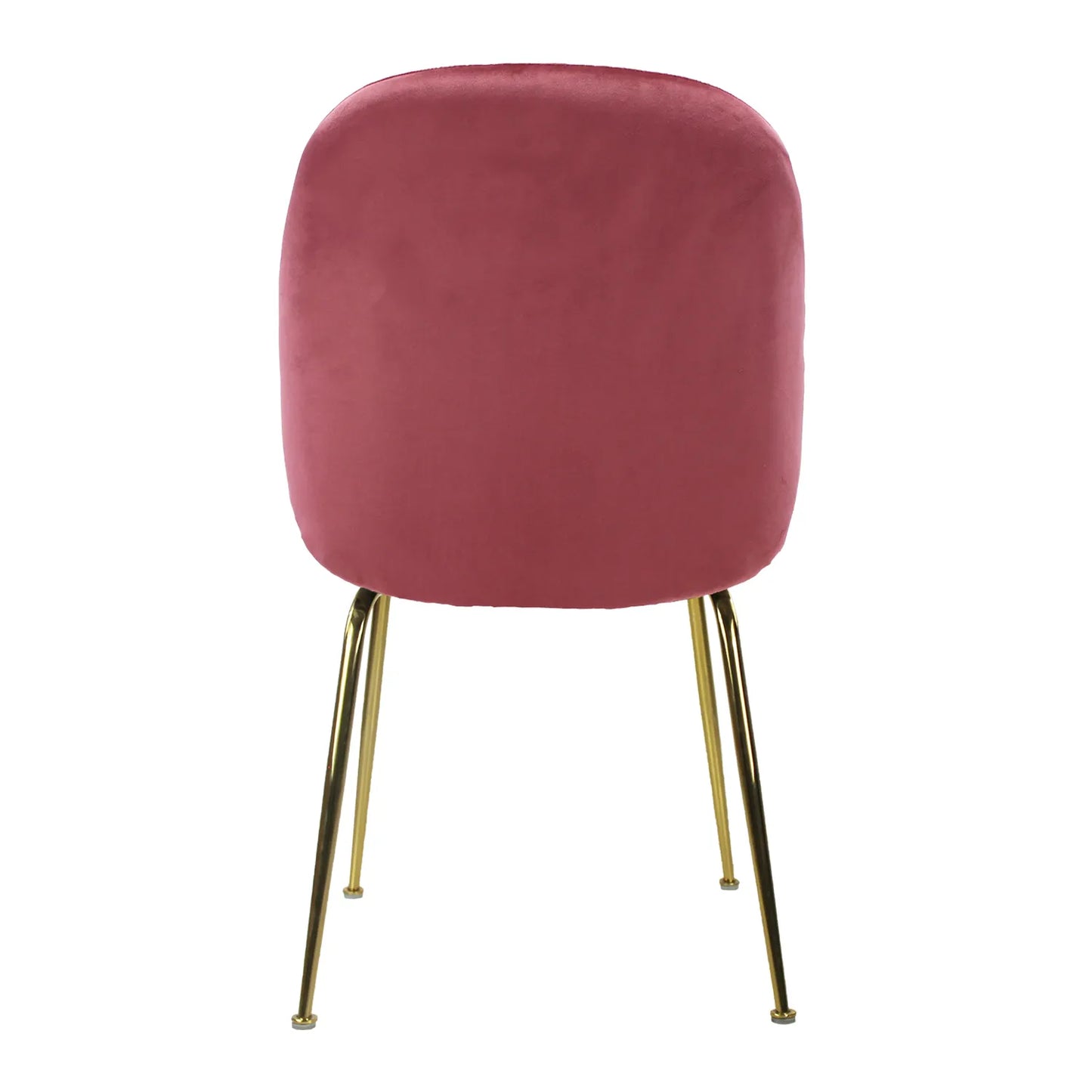 Silla Treviso