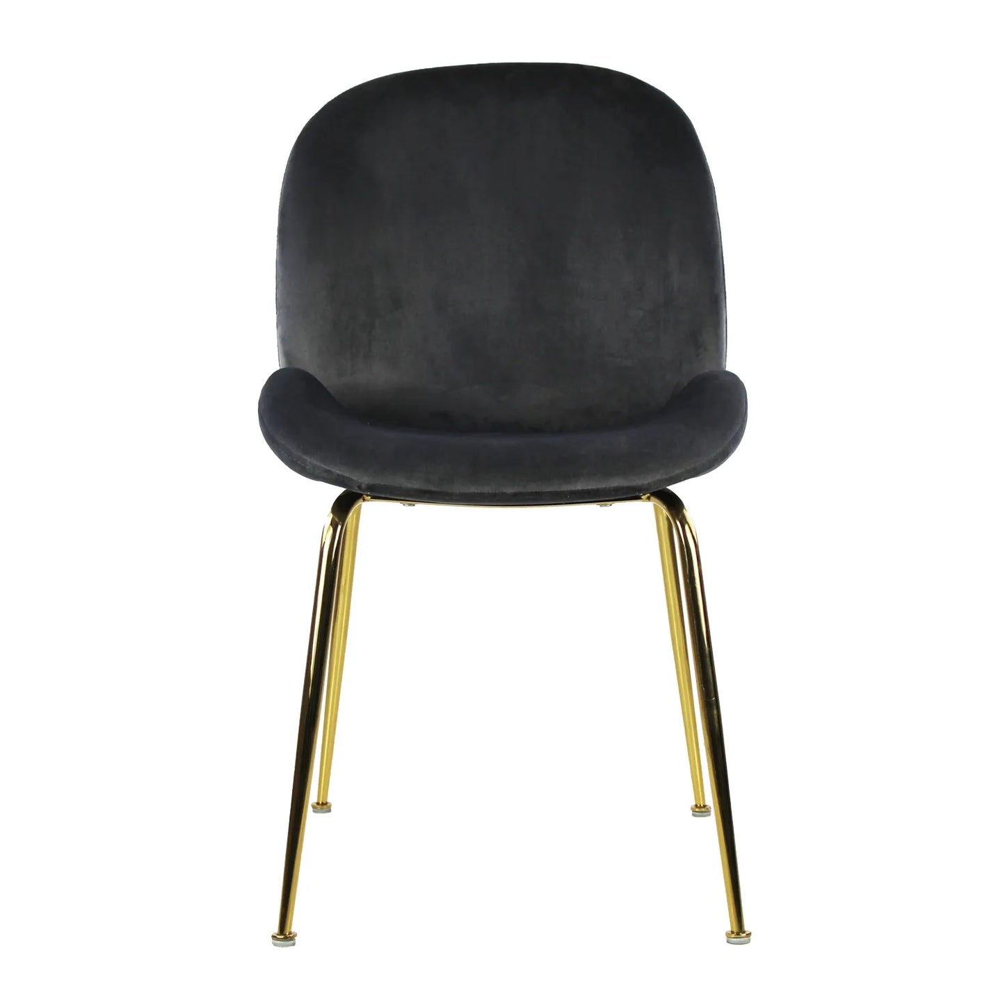 Silla Treviso