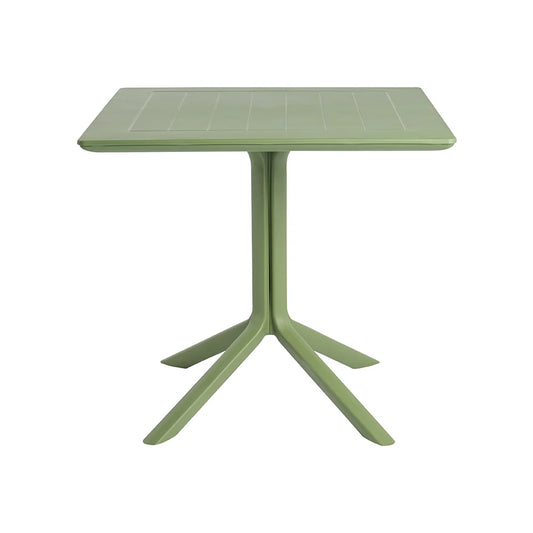 Mesa Lotus